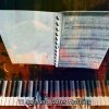 Bossanova - Feelin Sophisticated