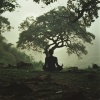 Campos relajantes para siempre、Chill Relajante、Lista de reproducción feliz para relajarse - Las Vibraciones Sutiles Fluyen