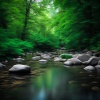 Nature Stream、Nature Sound、Nature Color - Calm Stream