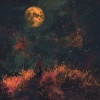 Gentle By Nature、Rain Storm Sample Library、Dark Thunder Forest - Ambient Echoes Lofi