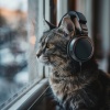 Lofi Hop-Hop beats、Lofi Chillhop Bear、movie nights - Feline Tunes Lofi