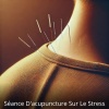 Ensemble de Musique Zen Relaxante - Soulagement du stress des aiguilles