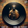 Shay DT《King Of Thicket》[MP3/LRC]