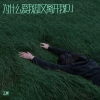 李志洲 - 为什么爱我却又离开我-DJ小刚版 (Remix)