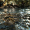 Calming Spirit、Aurora Meditation、Calming Meditative Symphony - Zen Meditation by Water