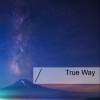 Sky、SKYLINE - True Way