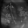 张叶蕾 - 代替