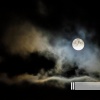 Night Sounds、Cricket Sounds、Sounds of Nature Zone - Meadow Calmness