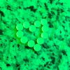 Jack-E - Dopamine