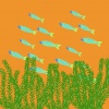 Hamelin - Fishandflow