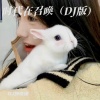 DJ婷世缘 - 时代在召唤 (DJ版)
