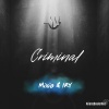 Mixio、Iry - Criminal