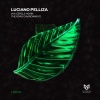 Luciano Pelliza - In a Cyrcle Again