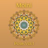 Moini - Pyramid (Parsvottanasana)