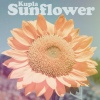 Kupla - Sunflower