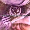 Meditation Muse - Stifling Stress