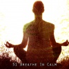 White Noise Therapy White Noise Relaxation White Noise Meditation - Restoring The Sanity
