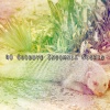 Baby Lullaby - Advancing Rest