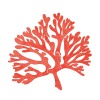 Allan Snowden - Coral