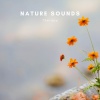 Zen Sounds、Natural Sounds Selections、Nature Sound Collection - Nature Sounds Therapy
