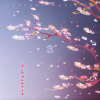 文玖virgo - 念