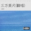 王振宇 - 三万英尺