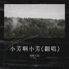 烟嗓大叔  林武威 - 小芳啊小芳