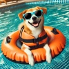 Hundmusik oas - Eftermiddag för din hund