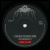 The Move《I Can Hear the Grass Grow (Full Length Mono Version)》[MP3/LRC]