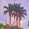 Asio、Improv - solo contigo (feat. Improv)