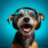 Musica Relajante para Perros Momentos、Musica para dormir para perros、Sistema de infrasonidos - Melodías Calmantes Para Perros