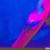 1134 - Everything (Explicit)