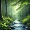 リラックスレイン、雨の音 - 心地よい静かな雨の音, リラックスの時間