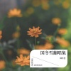 国昕瑶 - 映山红