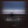 胡为 - 坏杀手