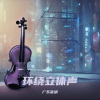 广东音胡、清荷 - 太多的理由 (3D环绕立体声版)