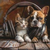 Sleeping Pet Music、Alpha For Pets、Lofi Masters《Comforting Pet Melody》[MP3/LRC]