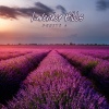 Zenith 3 - Magic Cat