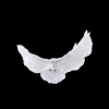 wunsstwnn - dove
