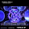 Phoenix Family - Metadimension (Original Mix)