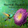 Norma Project - Magical Land (Original Mix)