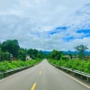天祁 - 坠落爱河