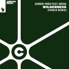 Jurgen Vries、Shèna - Wilderness (Farius Remix)