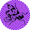 Jager、Sehija - I'm Falling (Original Mix)