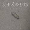 供销社乐队 - 爱不爱吃猪蹄