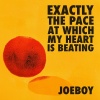 Joeboy《The Pace (Intro)》[MP3/LRC]