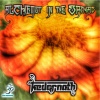 Kedarnath - Alchemist in the Orchard (Original Mix)