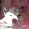 Baby Lullaby - Chilling Out