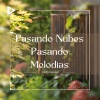 Lullify Español - Patron pacifico
