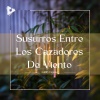 Lullify Español - Campanas celestiales